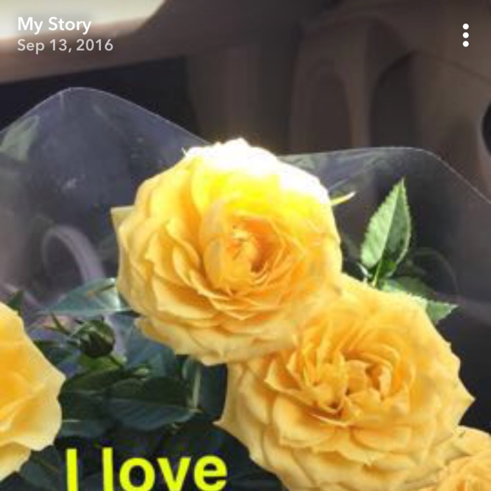 Meet your Posher, Julia